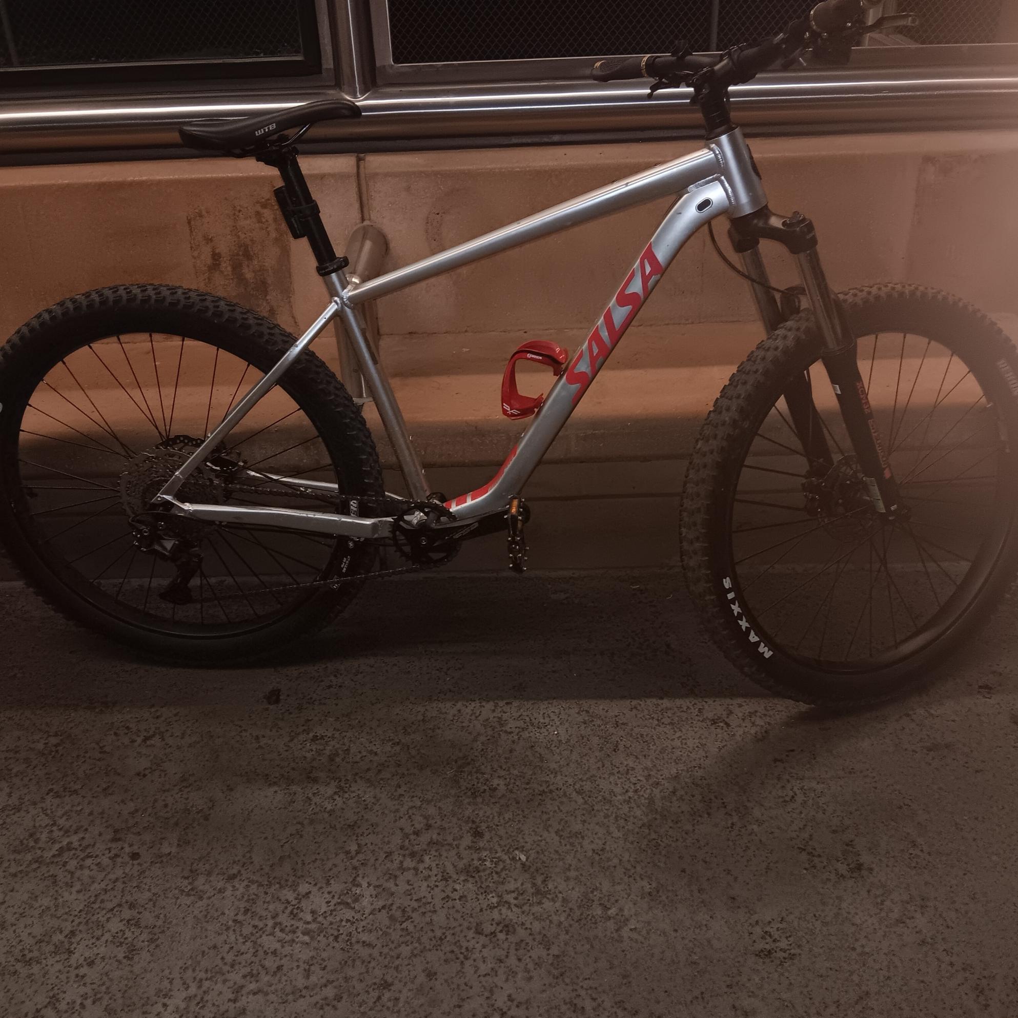 2023 Salsa Silver, gray or bare metal and Pink