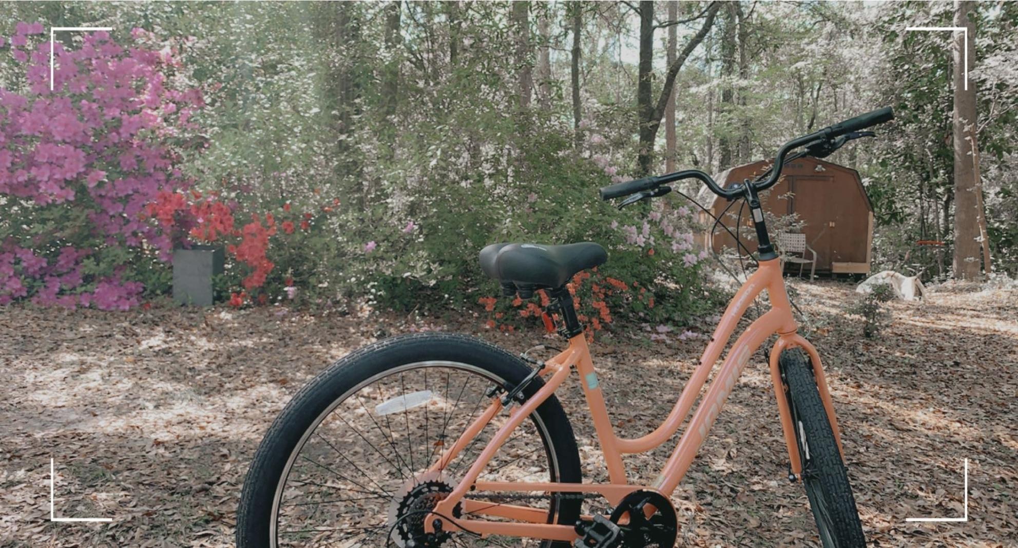 Jamis Hudson Easy Pink