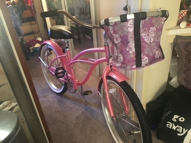 2020 Firestone Beach cruiser Pink