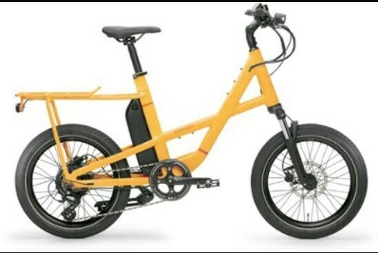 REI Co-op Generation E 1.1 Yellow or Gold