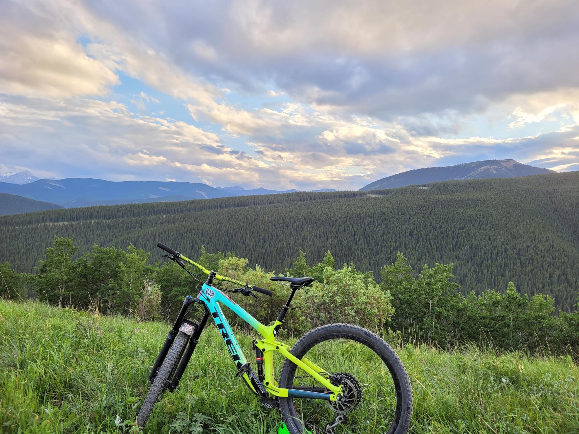 2022 Trek Trek Green