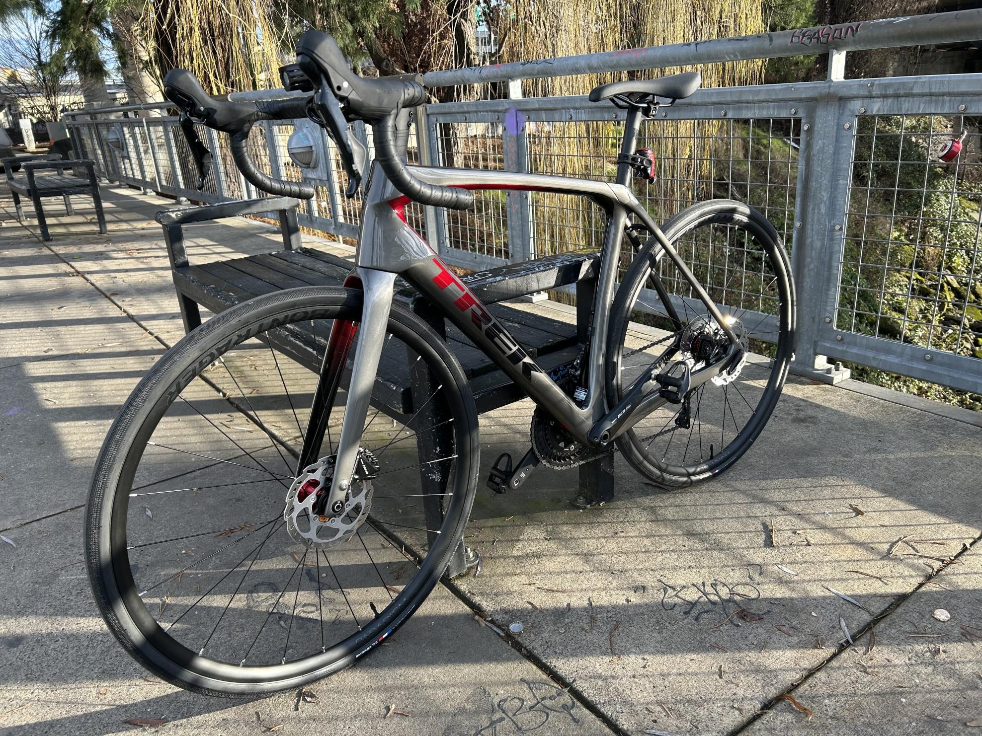 2023 Trek Domane Silver, gray or bare metal