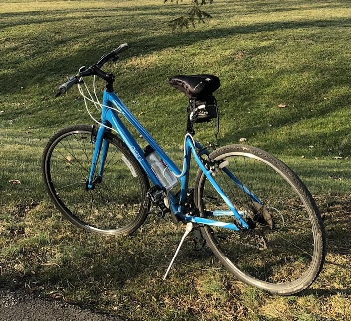 2013 Giant Escape 3 W Blue