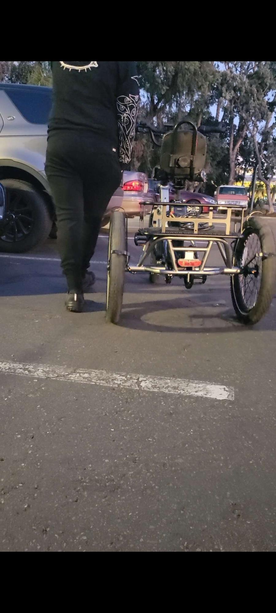 2024 Lectric eBikes Electric XP Trike tricycle Silver, gray or bare metal