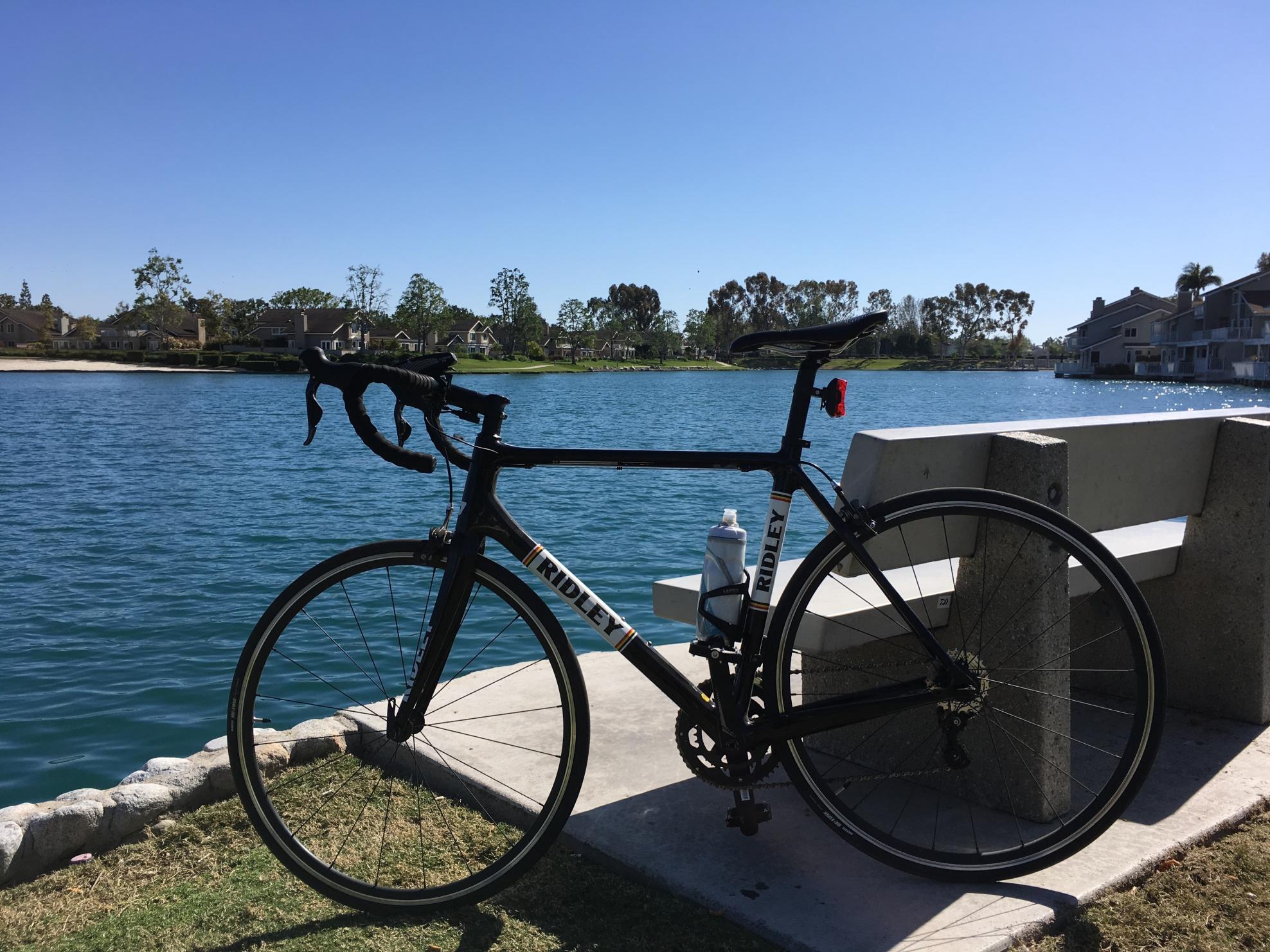 2017 Ridley Black