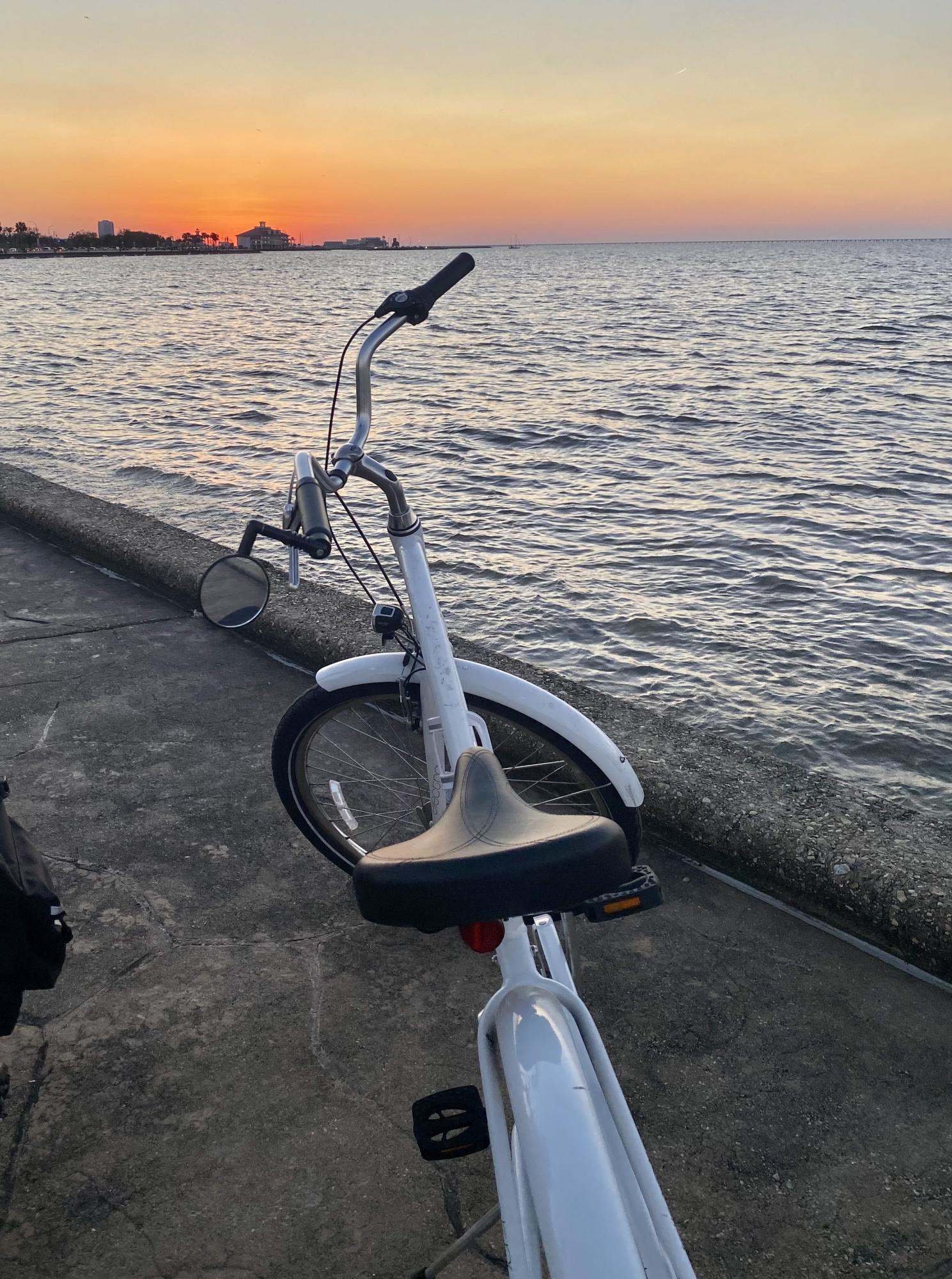 Electra Townie White