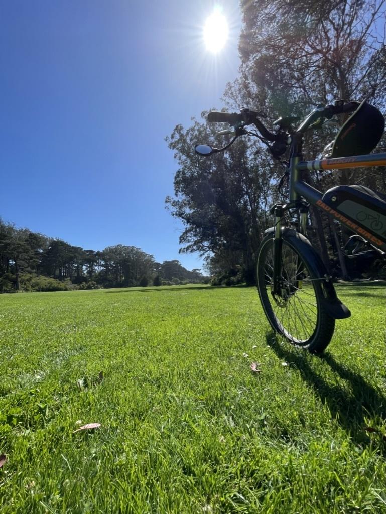 2019 Rad Power Bikes RadCity Silver, gray or bare metal