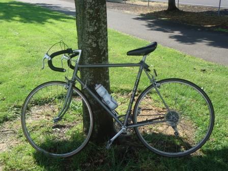 1987 Trek 520  Black