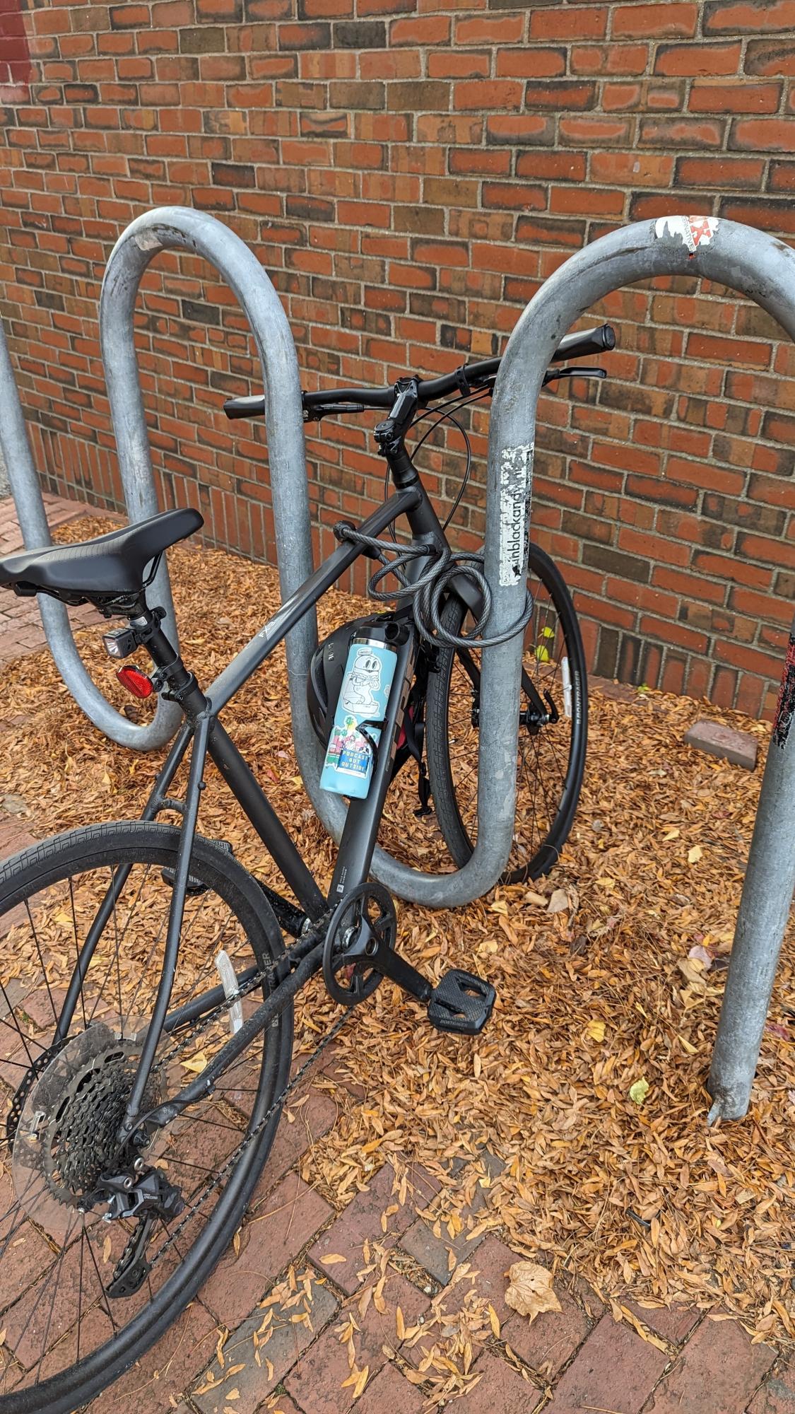 2023 Trek Black