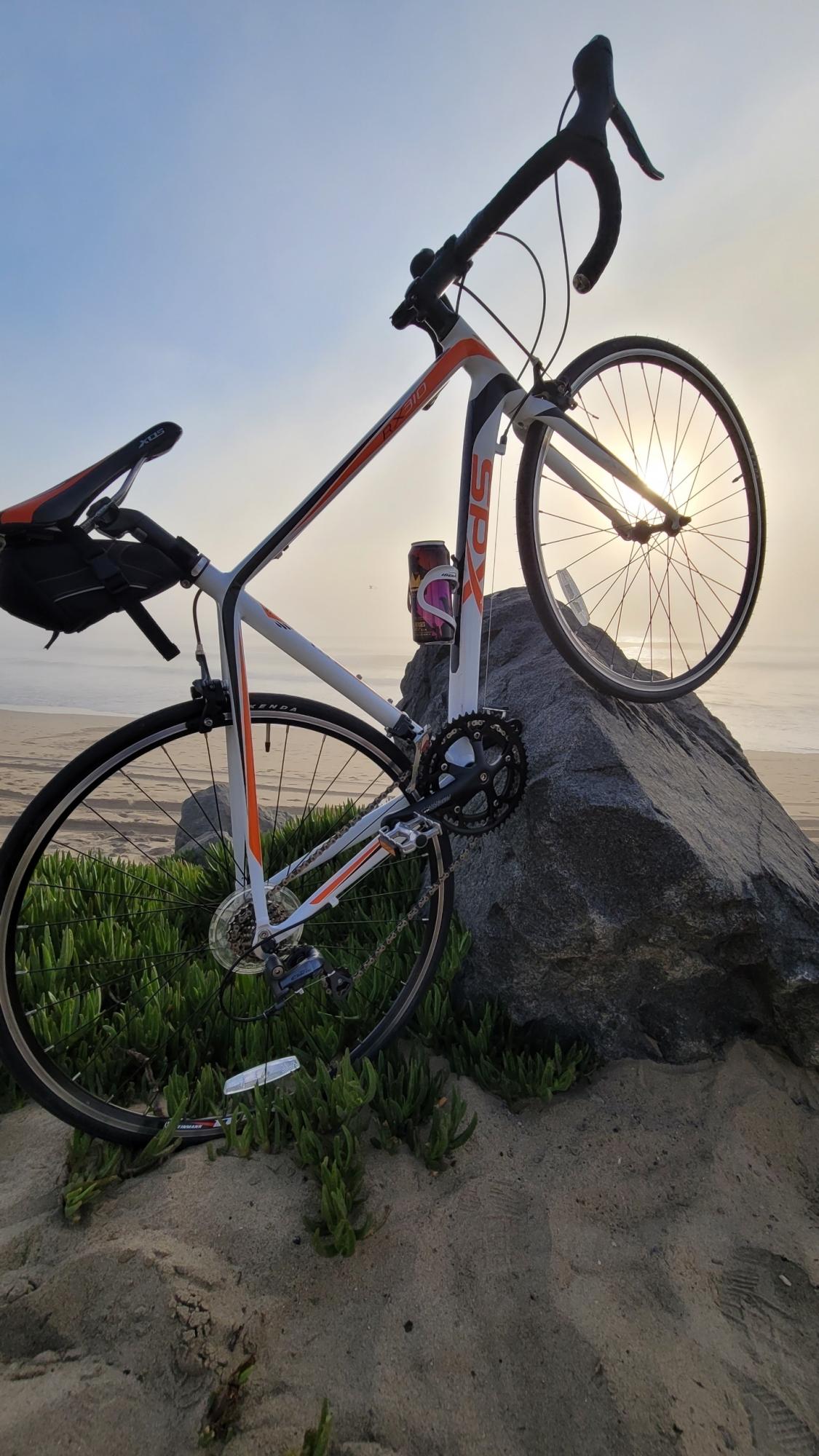 2015 Xds Rx310 White