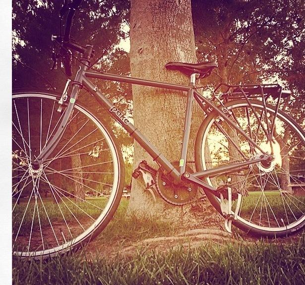 Pake pake Silver or Gray