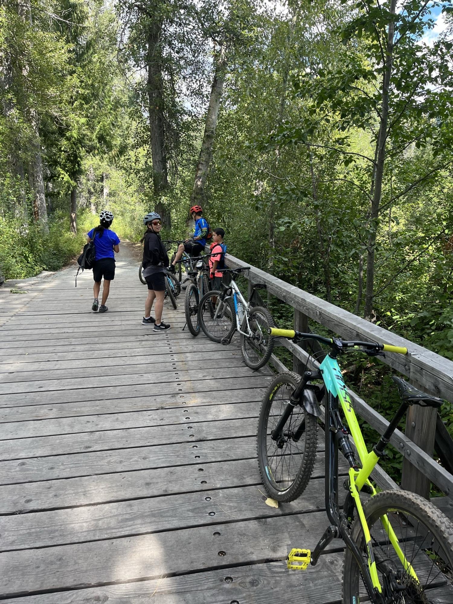 2022 Polygon T7 Yellow or Gold