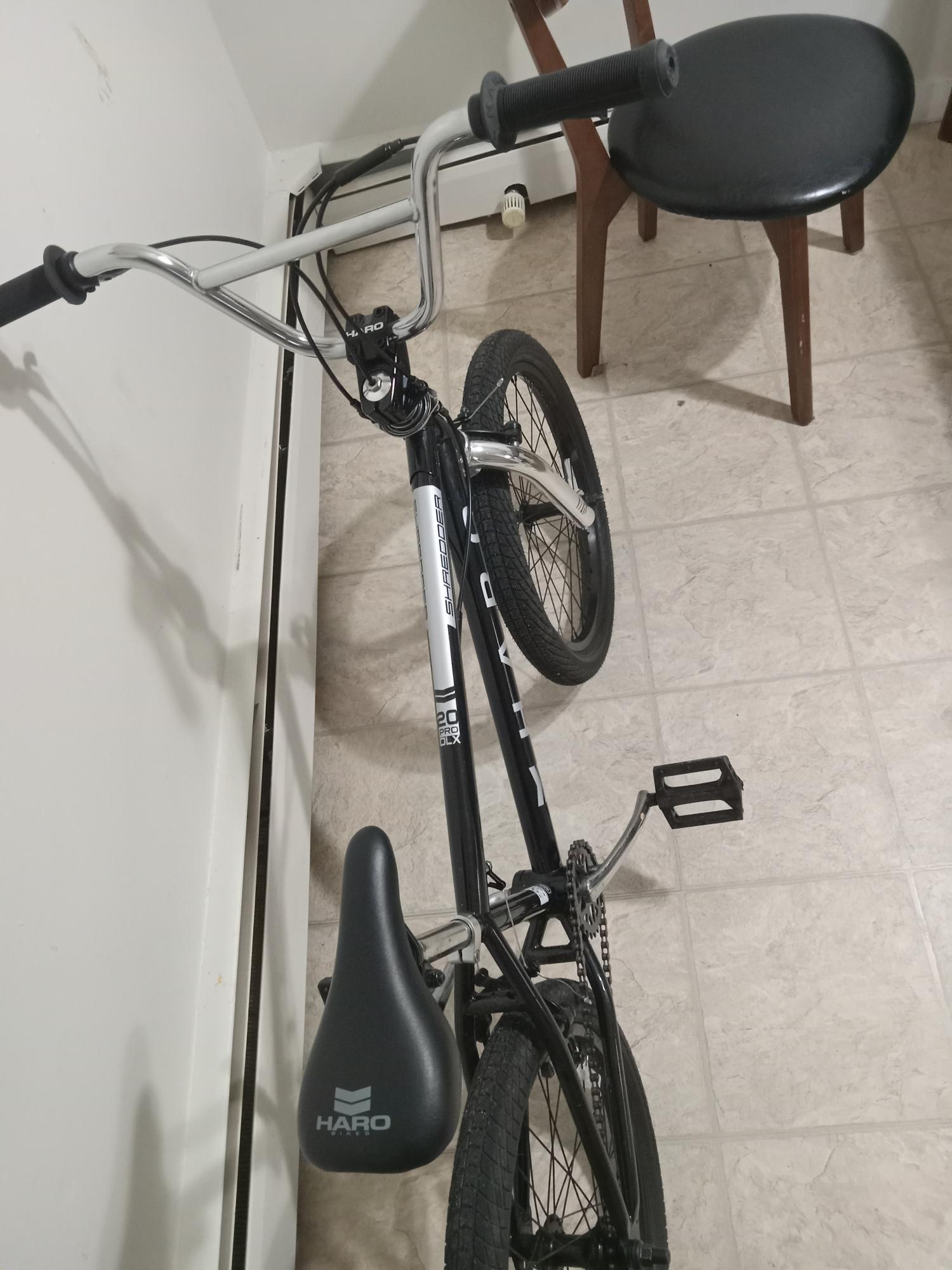 2023 Haro Shredder Black and Silver, gray or bare metal