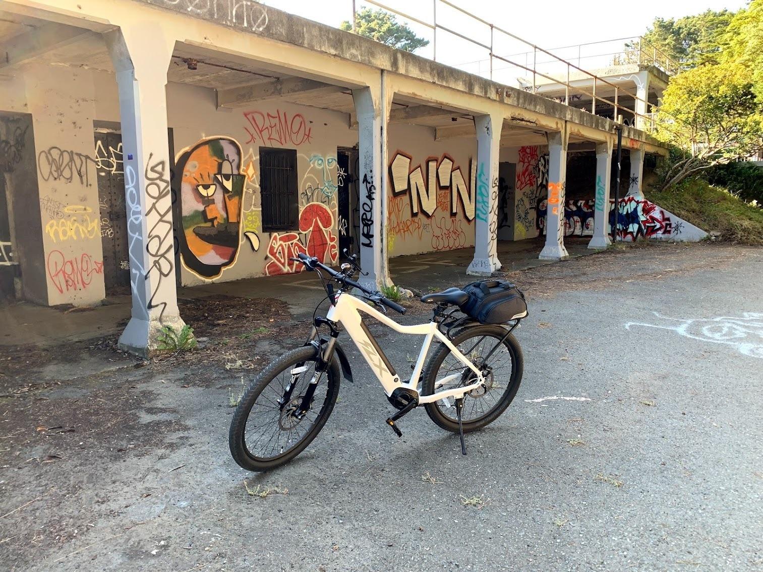2019 FLX Trail Special Edition White