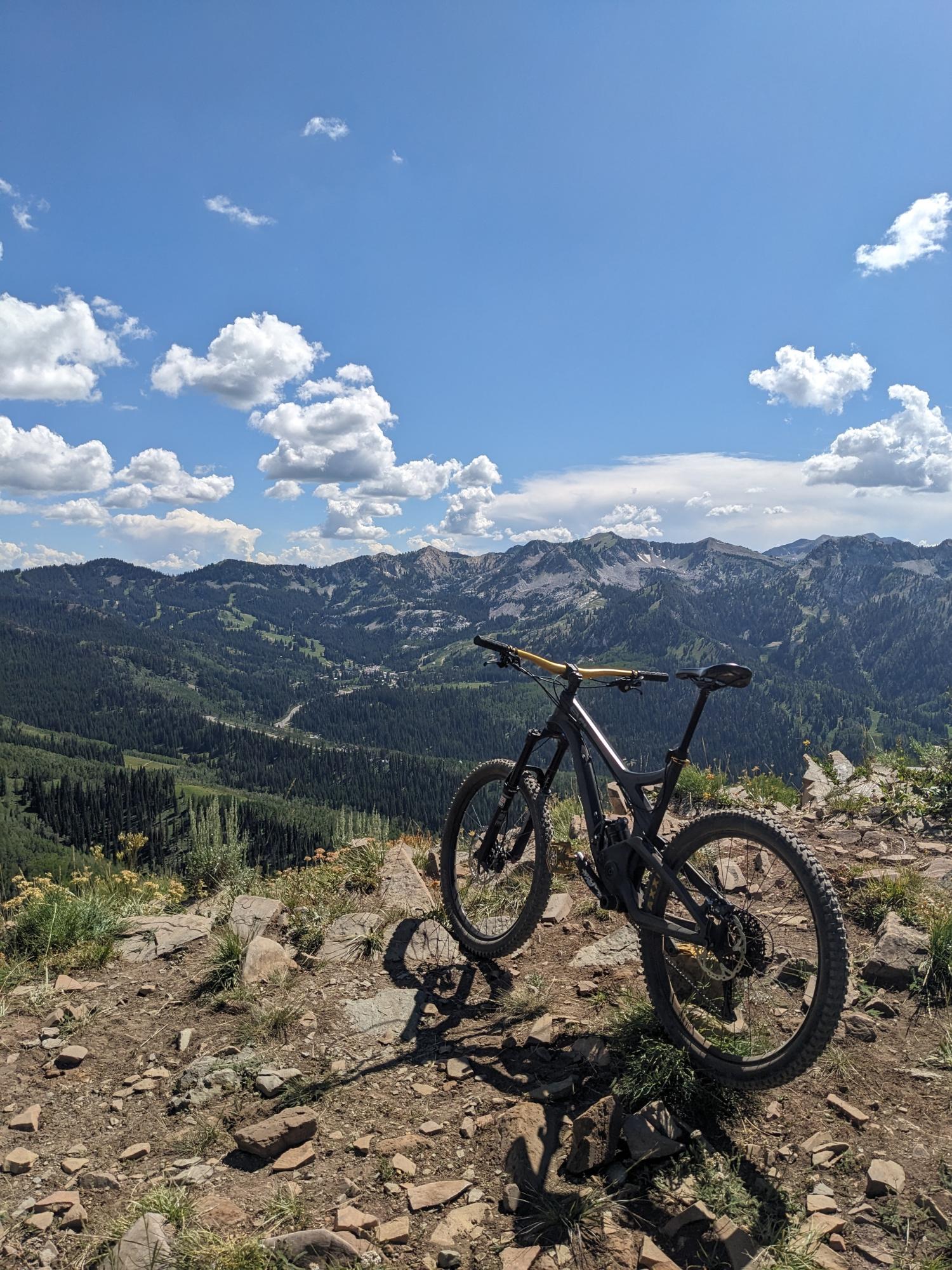 2014 Evil Uprising Black and Yellow or Gold