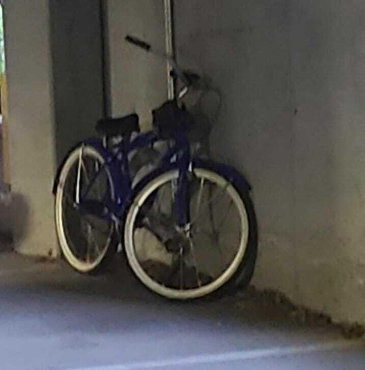 Beach Cruiser Beach Cruiser Blue