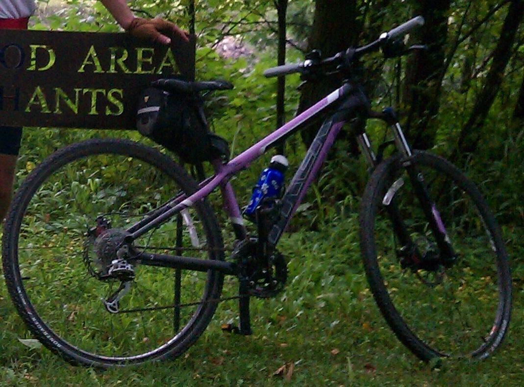 2011 Trek Mamba Purple