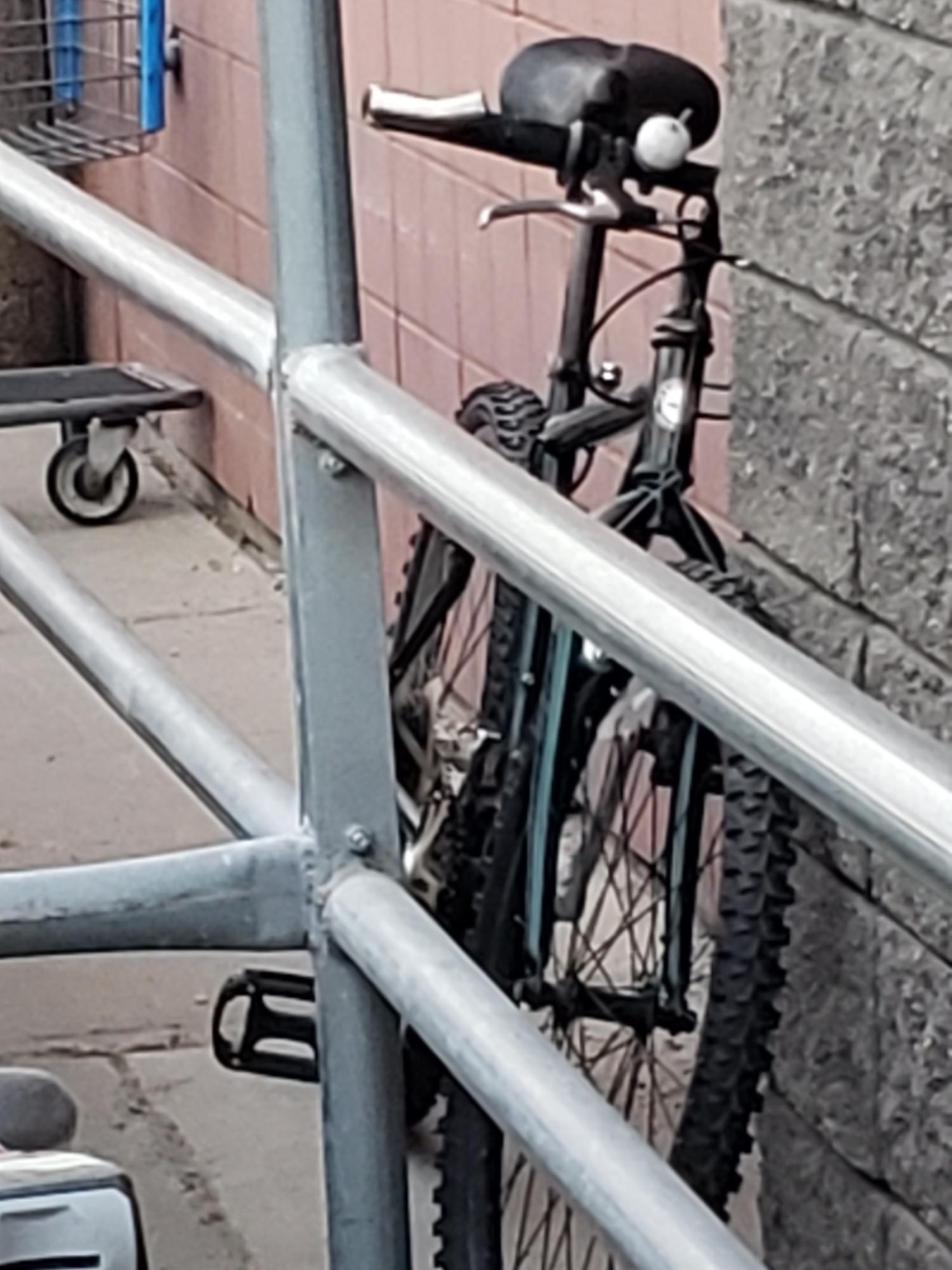 Schwinn Frontier Green