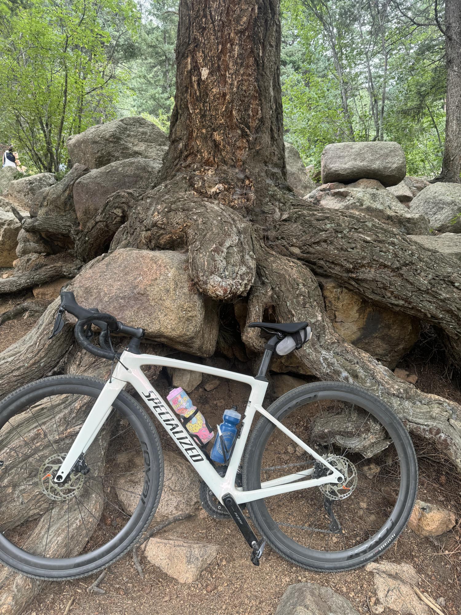 2024 Specialized Roubaix White