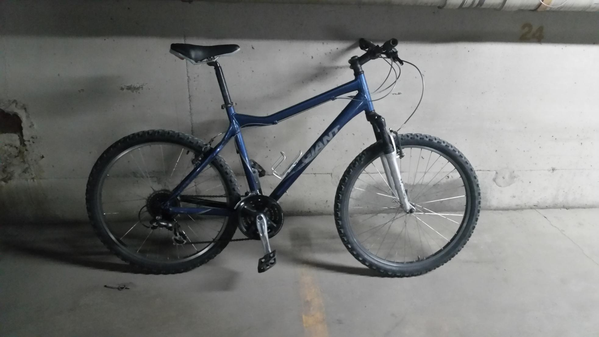2008 Giant Boulder SE Blue