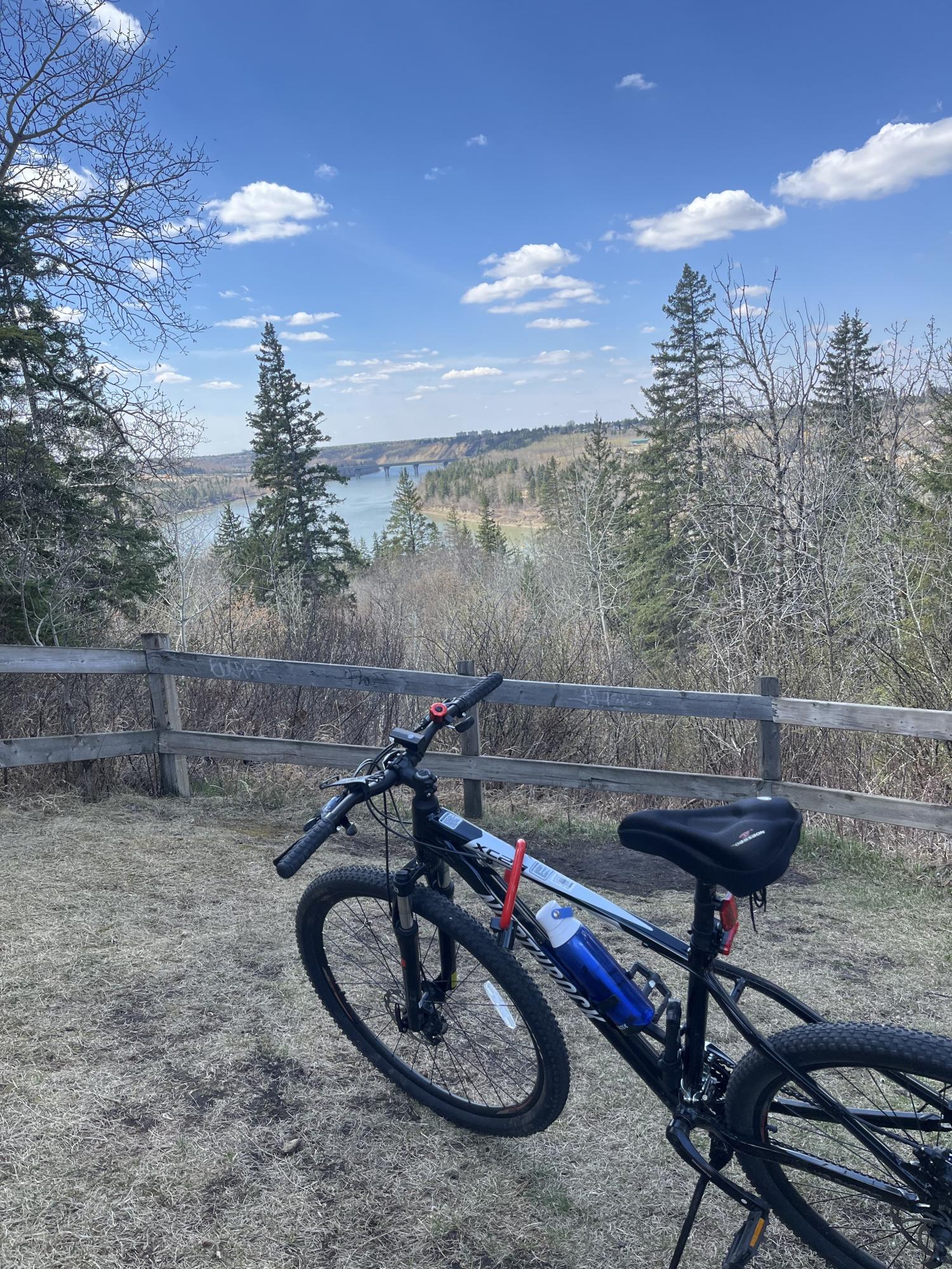 2023 Northrock XC29 Black and White