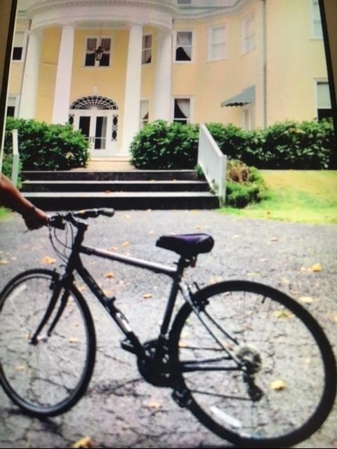 Giant Silver or Gray