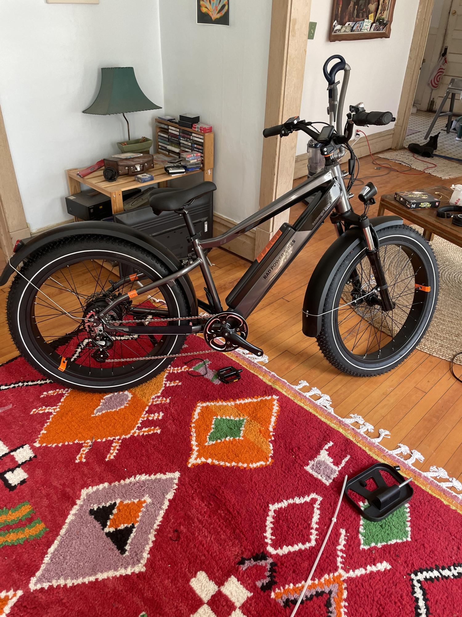 Rad Power Bikes RadRover 6 Fat Tire Plus Silver, gray or bare metal and Black