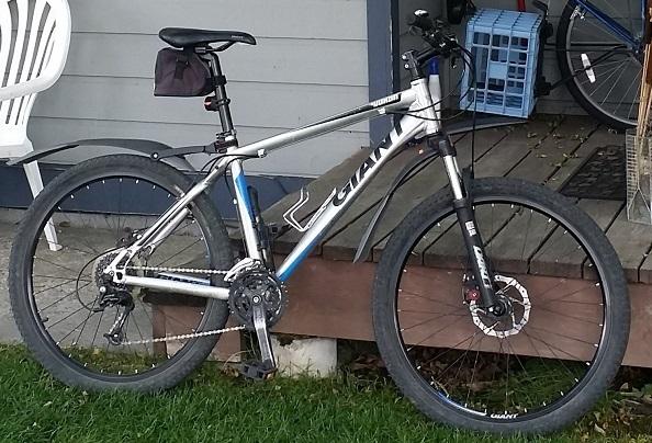 2010 Giant Silver, gray or bare metal