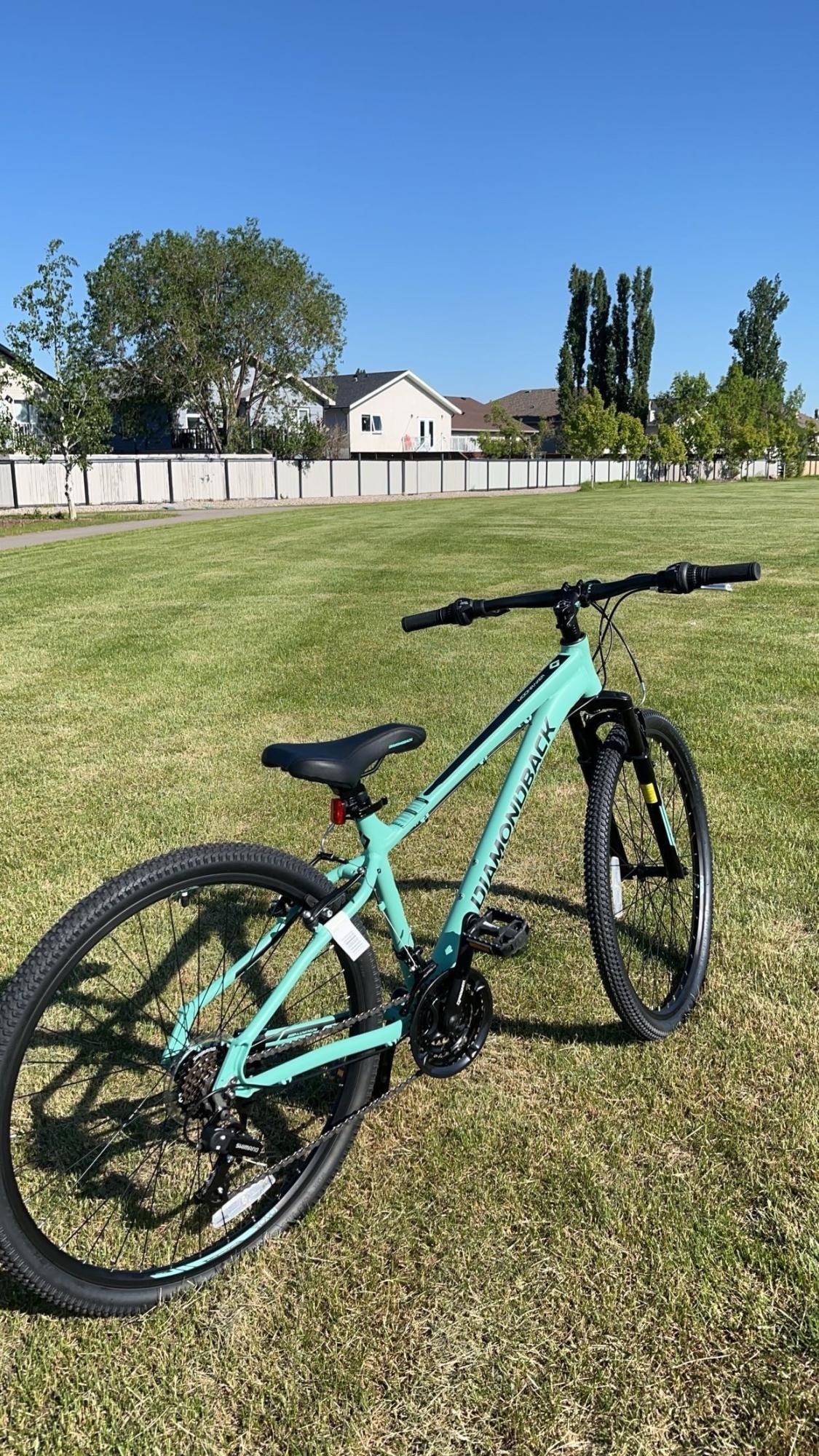 Diamondback Teal