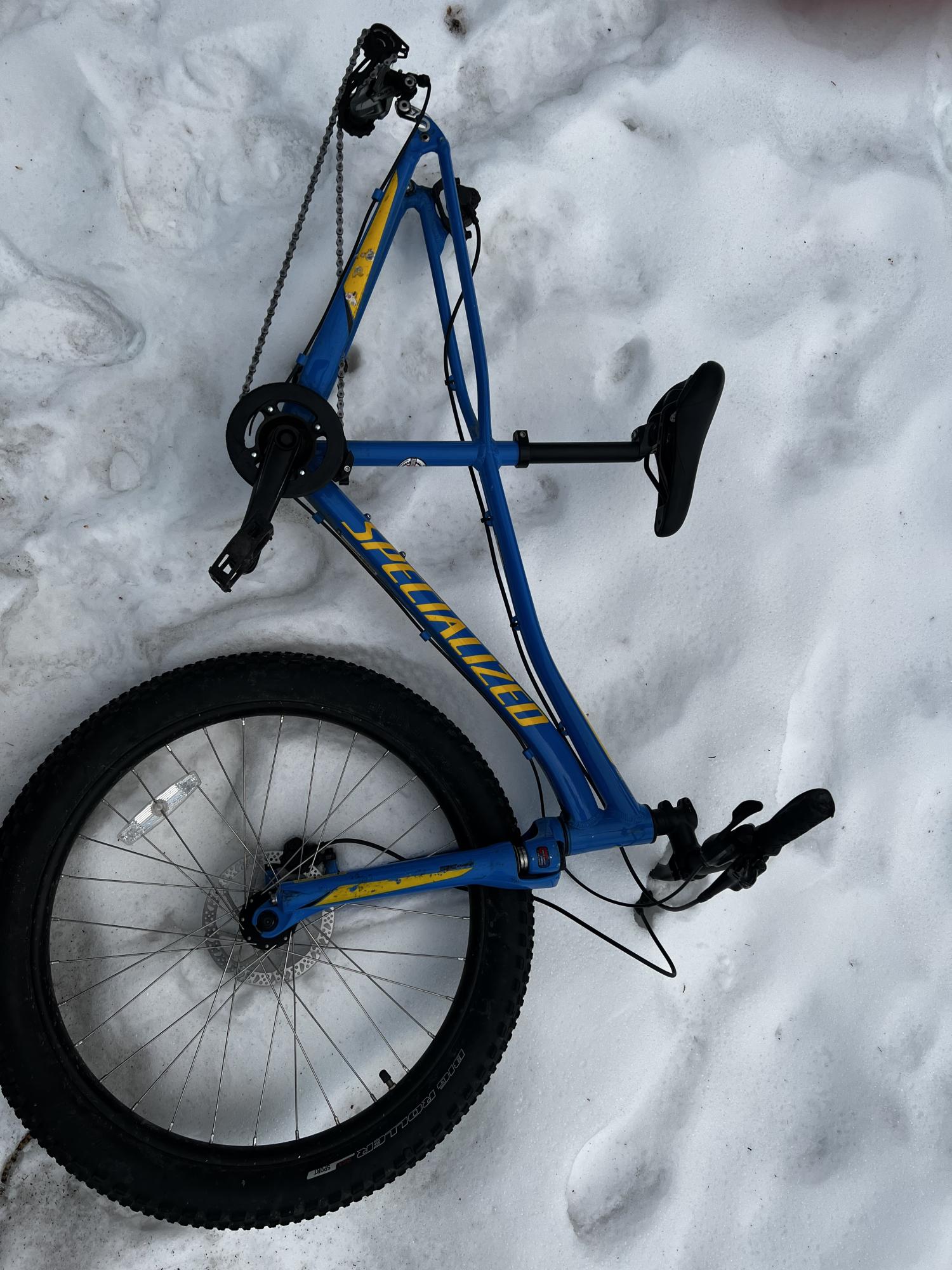 2017 Specialized Blue and Yellow or Gold