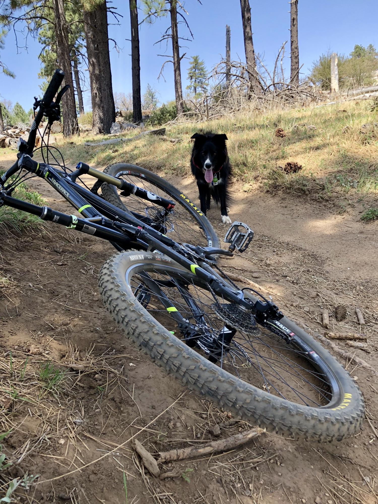 2016 Cannondale Trigger 2 Black and Green