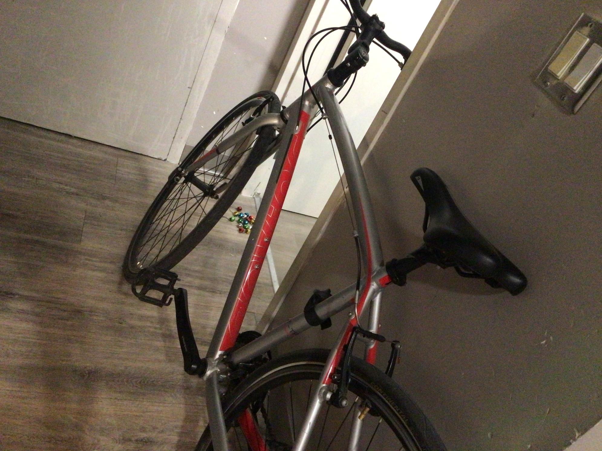 2004 Devinci Silver, gray or bare metal and Red