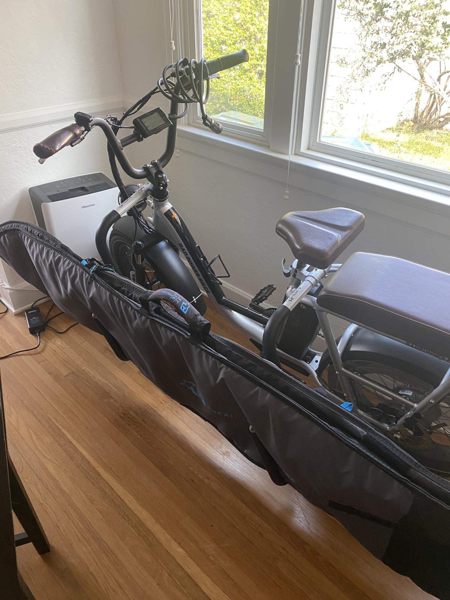 2021 Rad Power Bikes RadRunner Plus Silver, gray or bare metal