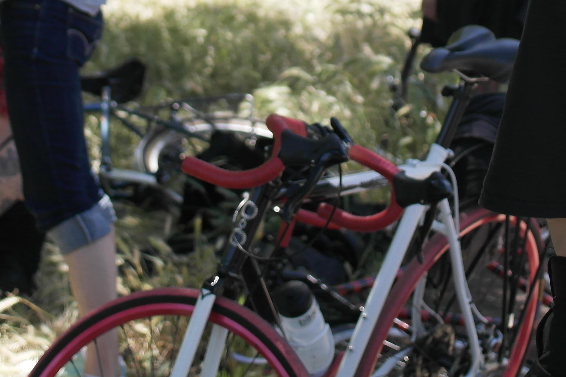 2010 Traitor Ruben White, Black, and Red