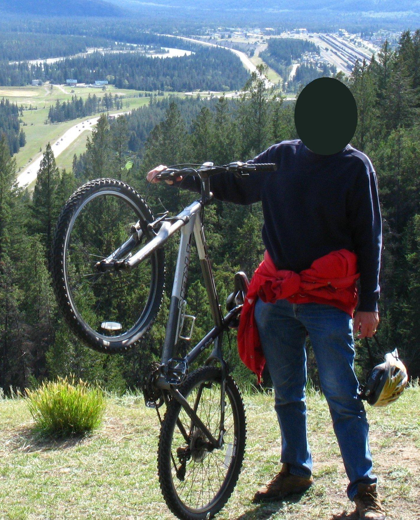 2008 Trek Silver or Gray