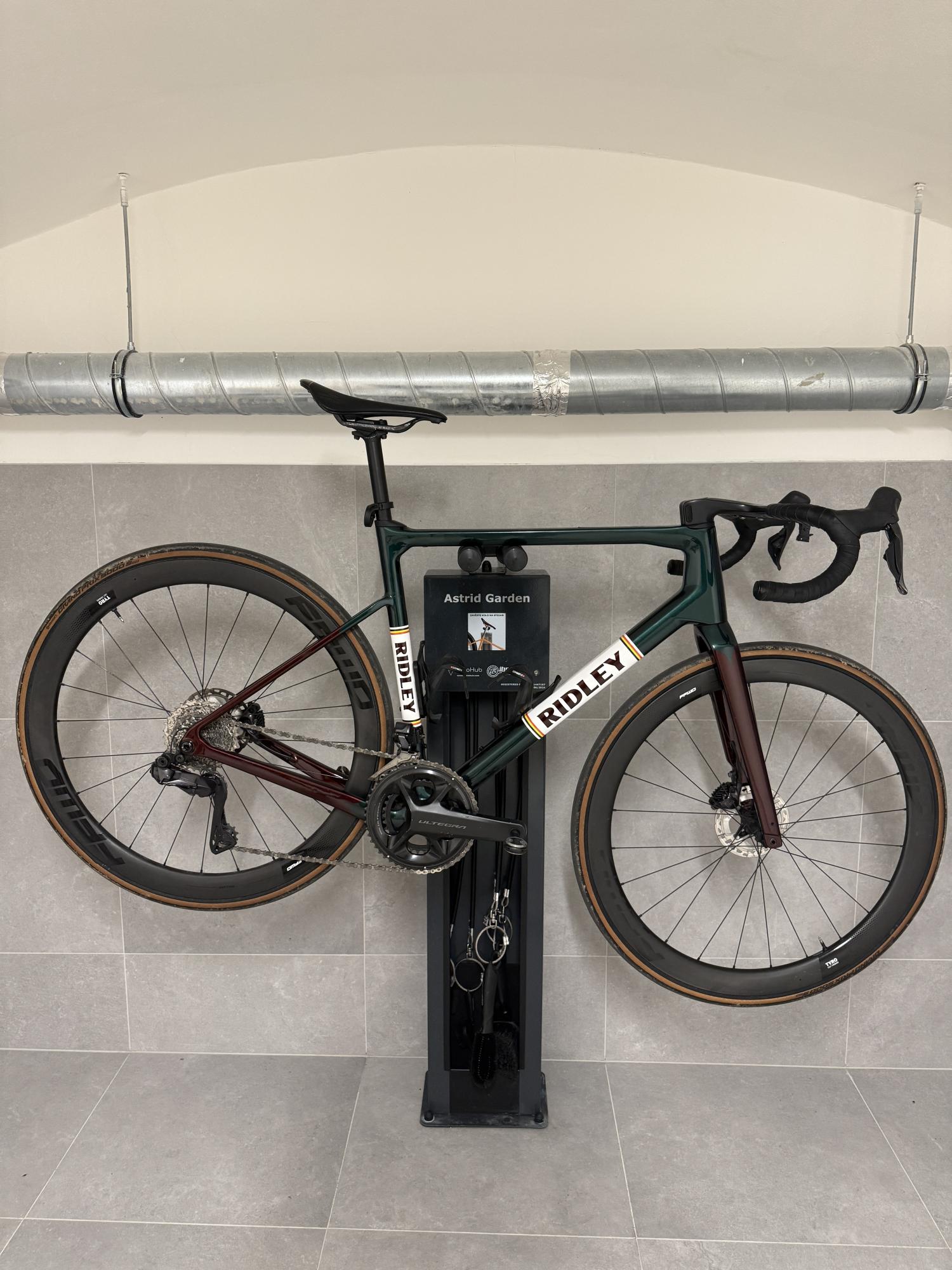 2024 Ridley Grifn Green