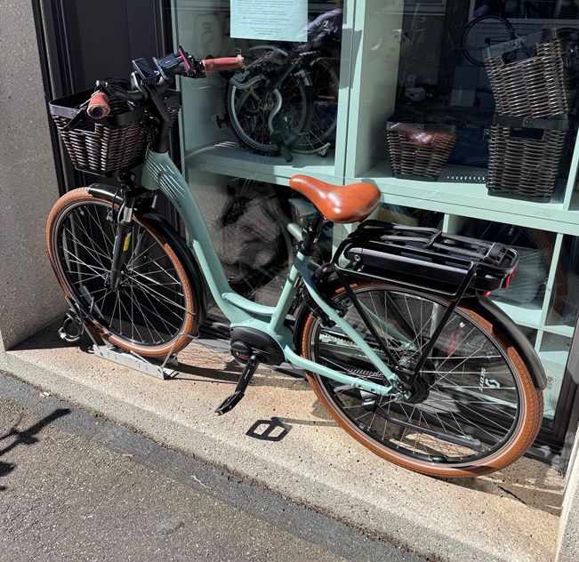 2024 Riese & Müller Swing4 Blue