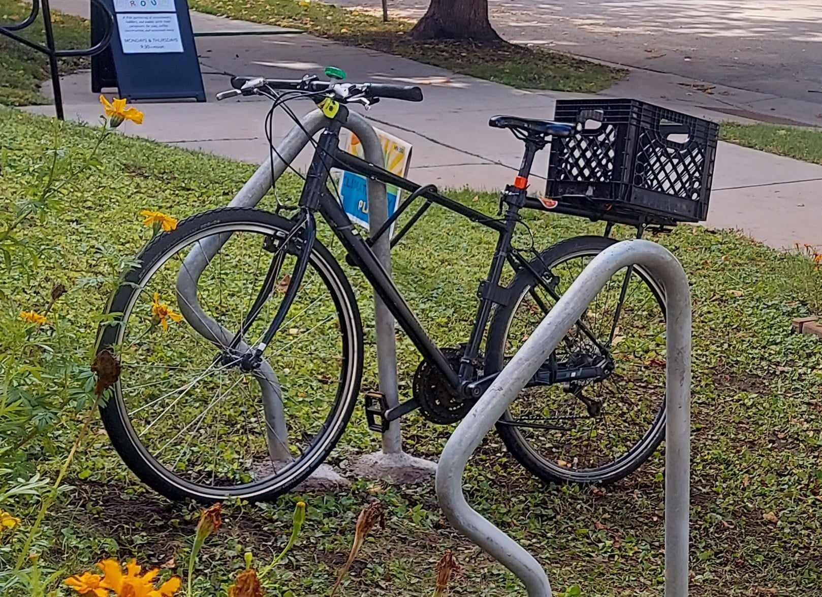 Marin Bikes Fairfax Black