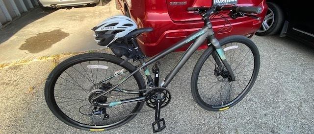 2020 Cannondale Quick Disc 3 Women's bike Silver, gray or bare metal and Teal