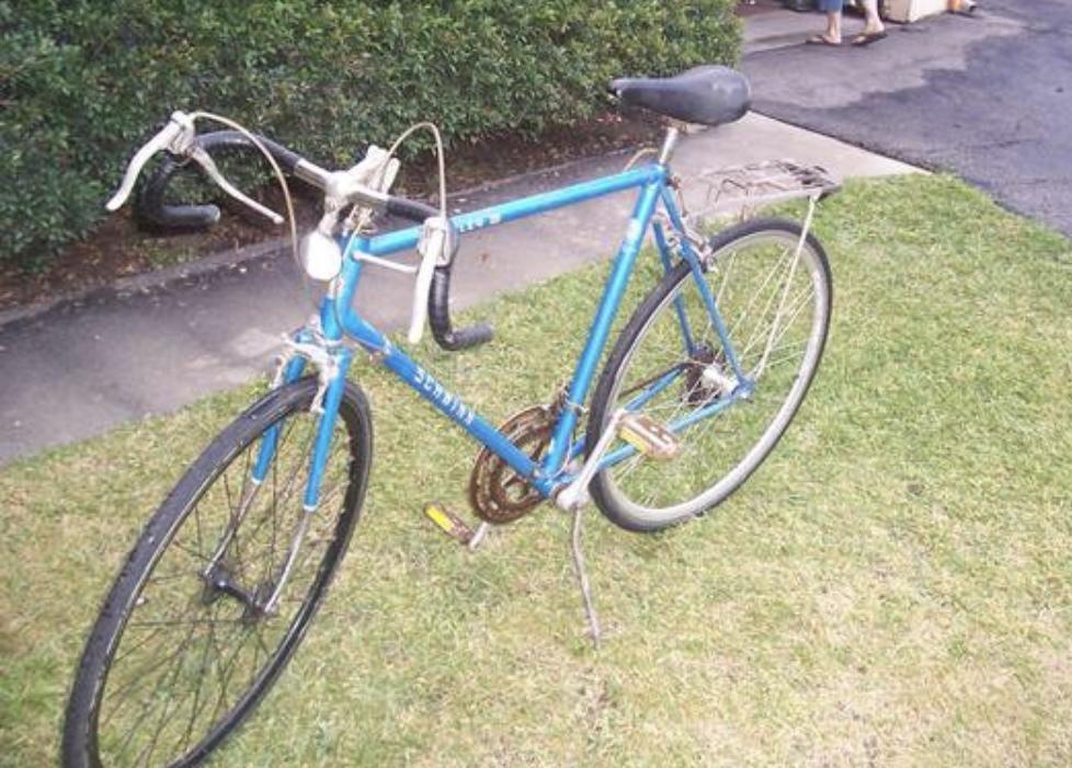 2024 Schwinn Traveler III Blue