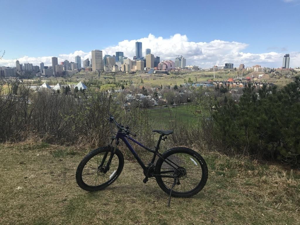 2020 Giant Liv Women's Tempt 2 Bike - Violet Purple