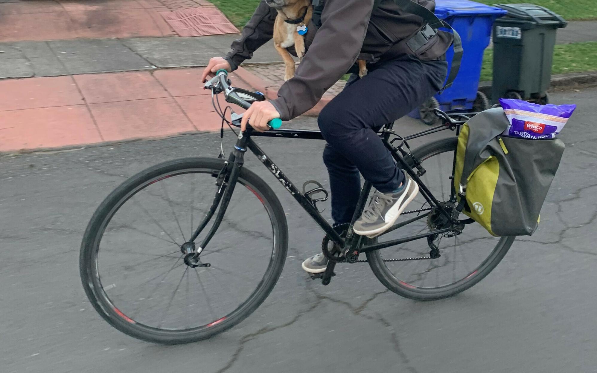 2005 Surly Cross Check Black
