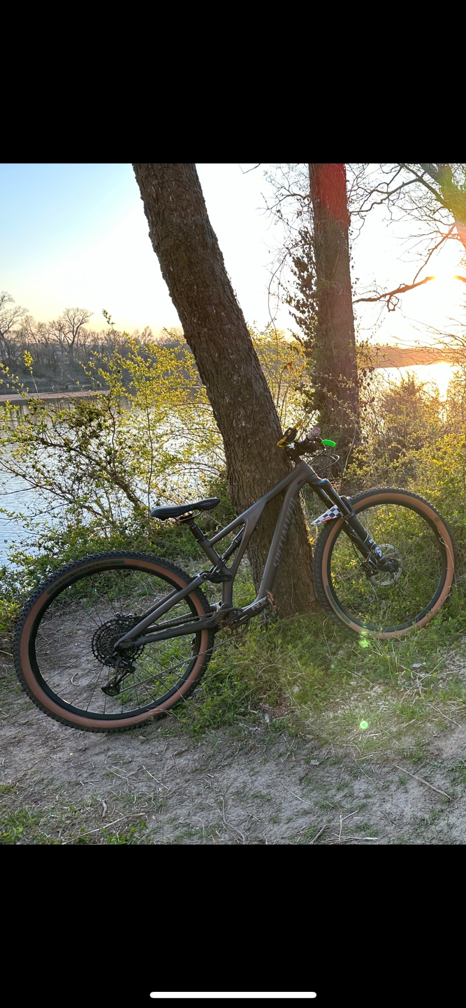 Specialized Brown