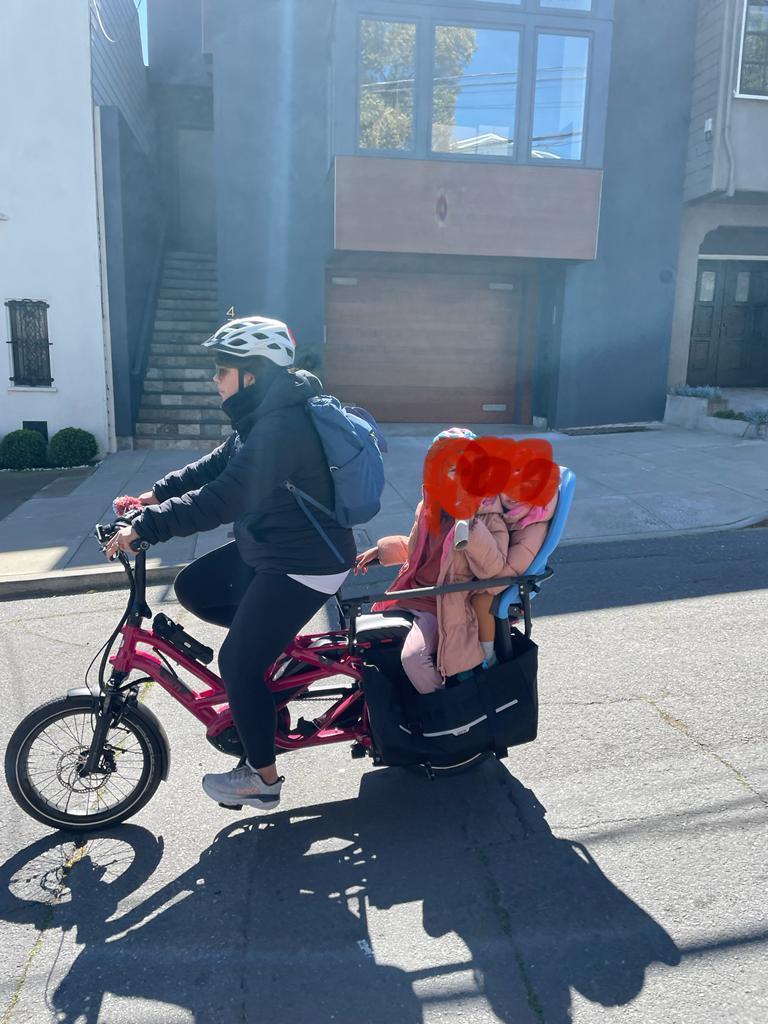 2022 Tern GSD S10 LX Pink