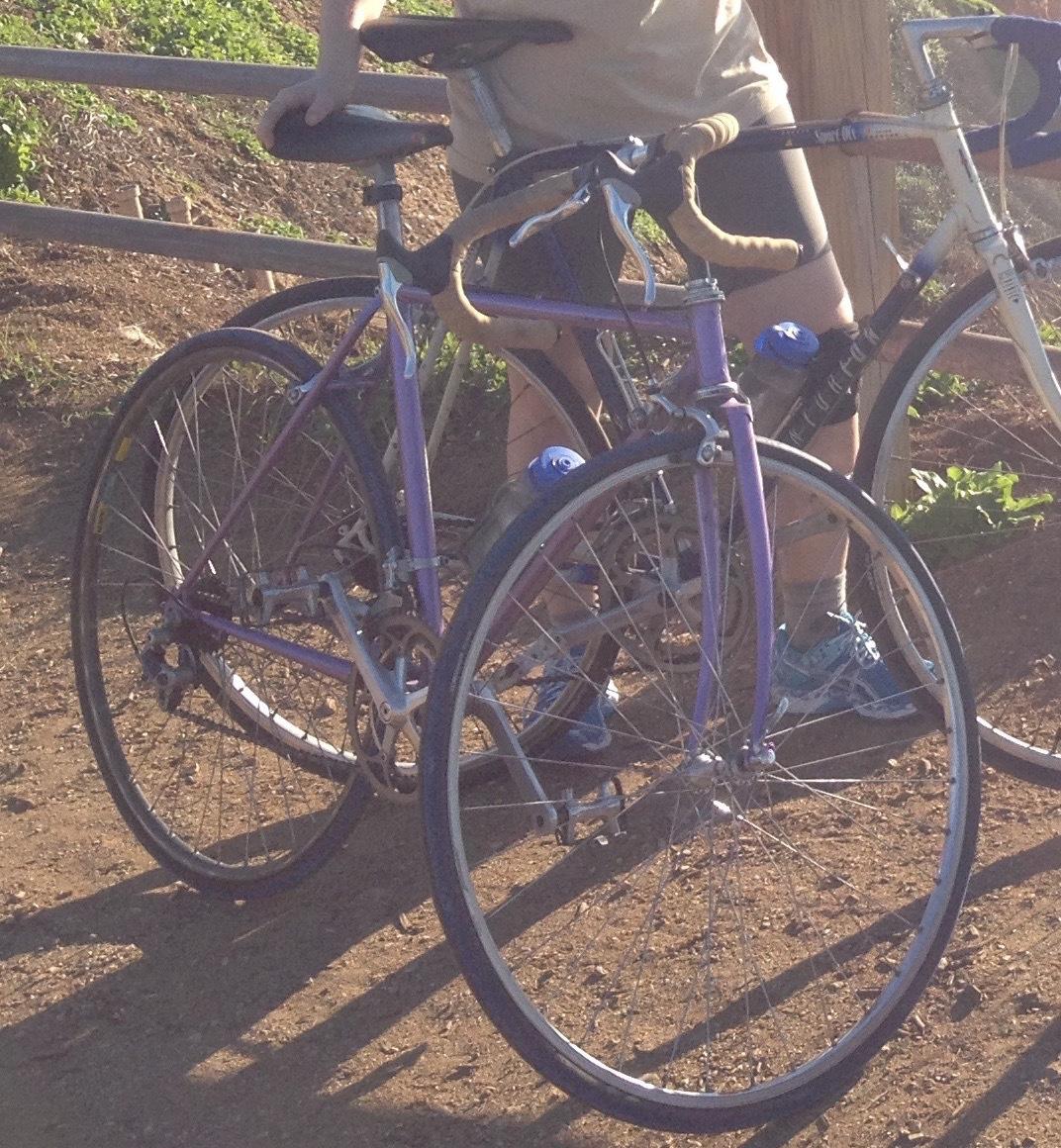 Other unknown Purple