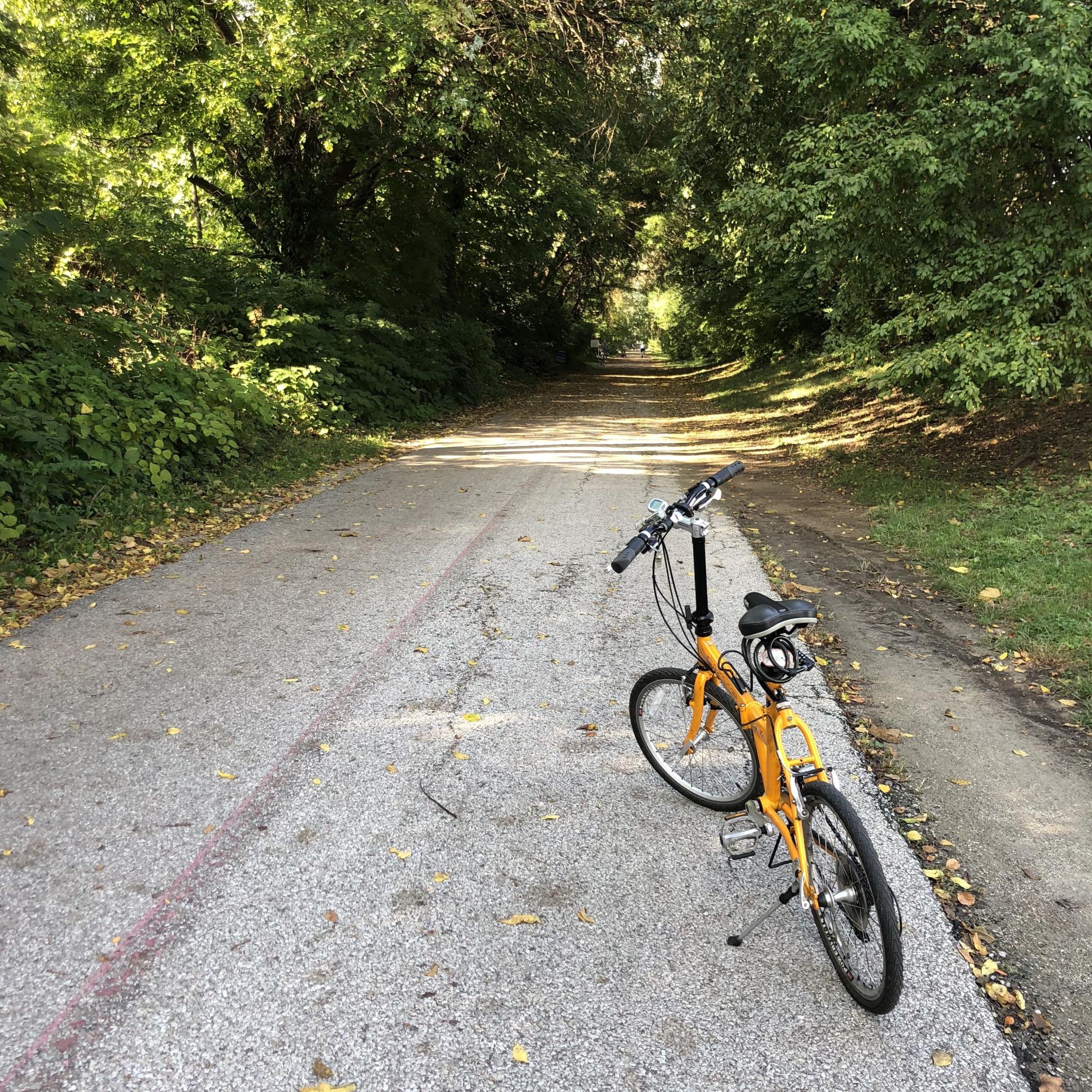 2010 KHS Bicycles Foldable Yellow or Gold