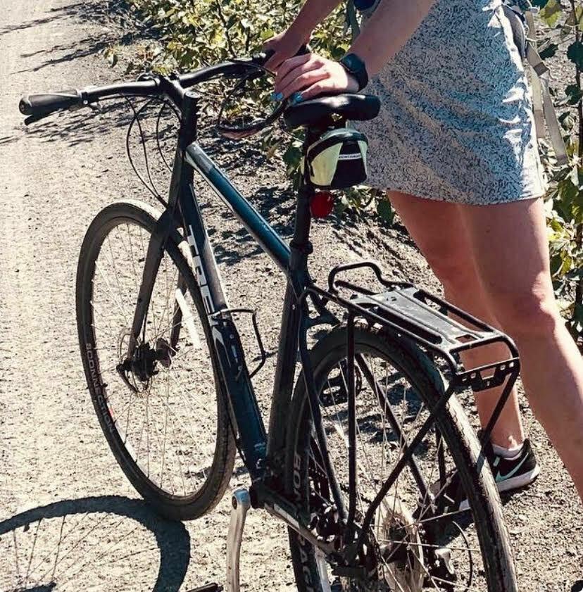 2020 Trek FX2 Silver, gray or bare metal