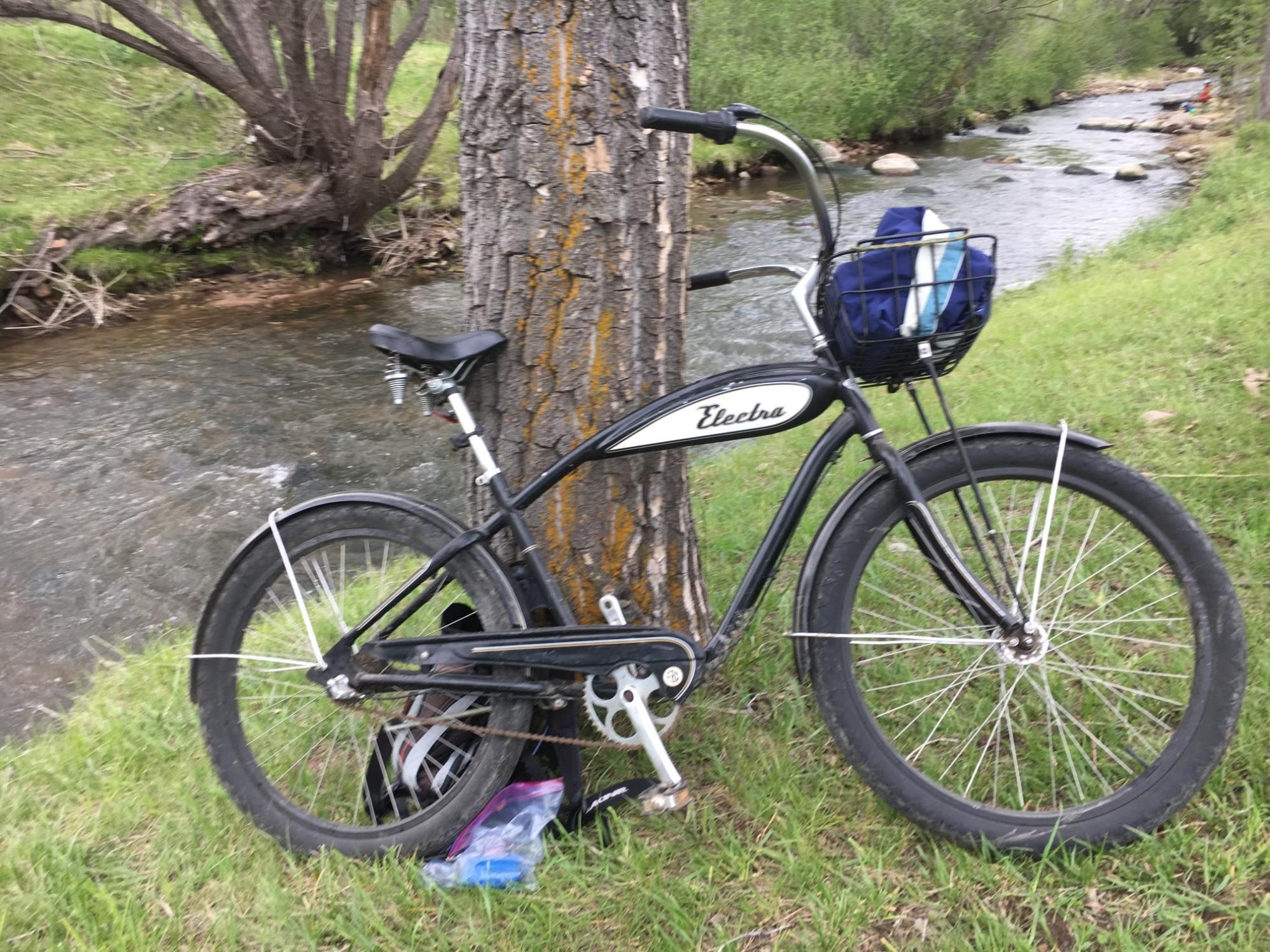 2006 Electra Vince Black