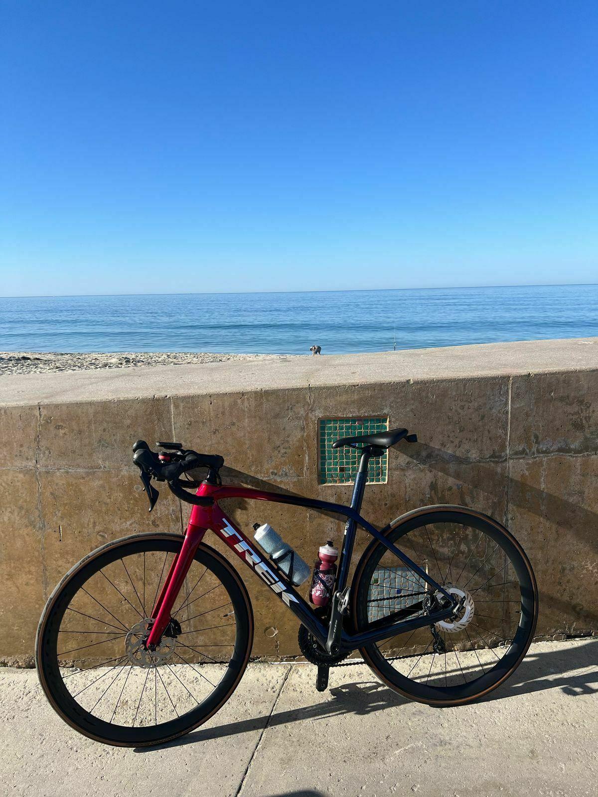 2022 Trek Domane SL 4 Red and Blue