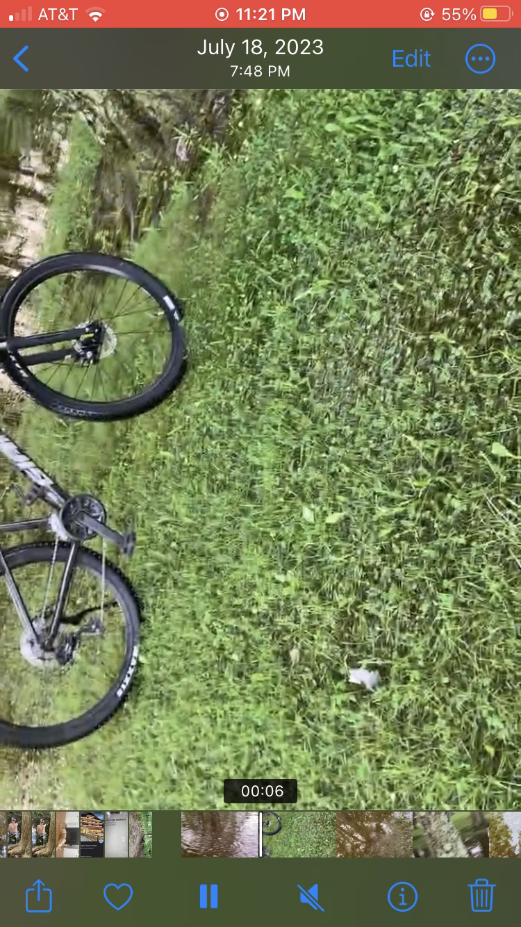 2021 Giant Giant talon Black